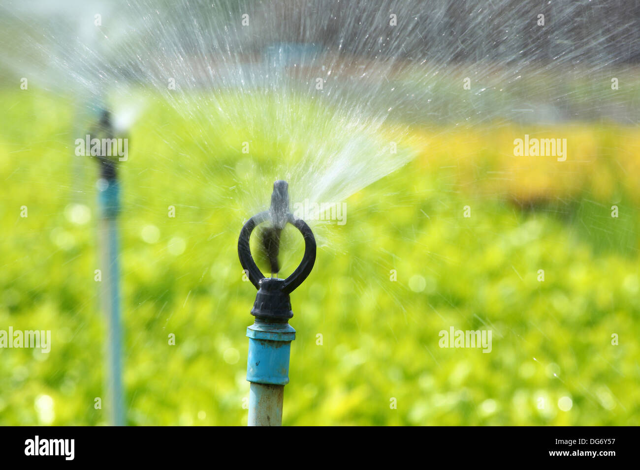 Arrosage agricole Banque D'Images