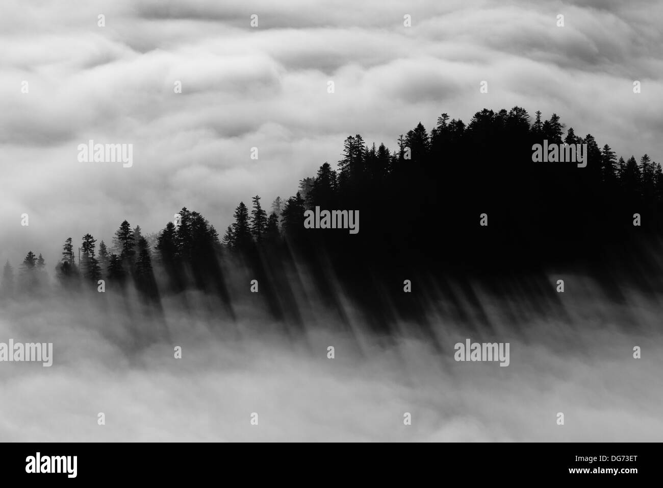 L'inversion dans les montagnes de Pieniny, le sud de la Pologne. Banque D'Images