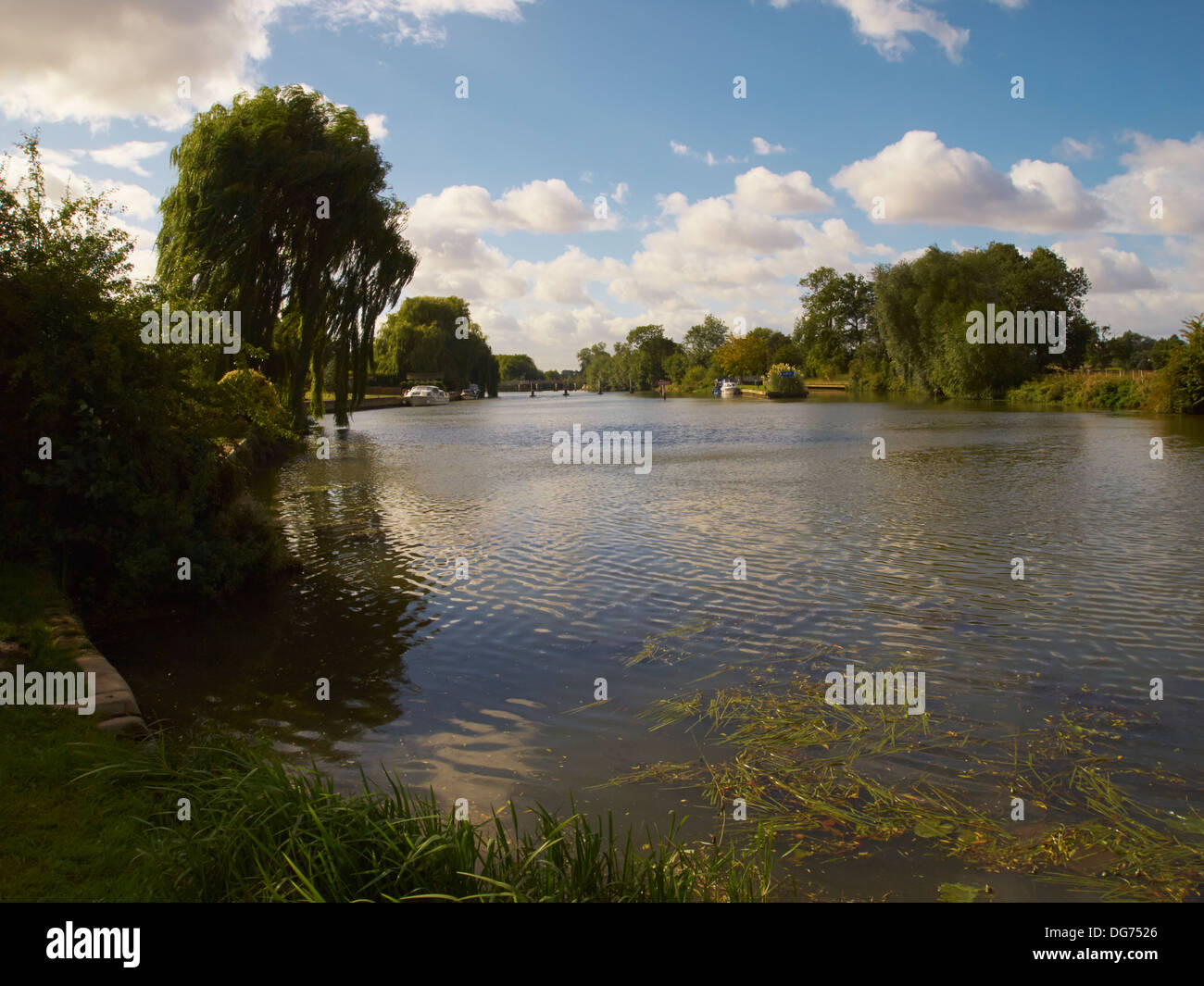 La Tamise près de Abingdon, Oxfordshire, Angleterre Banque D'Images