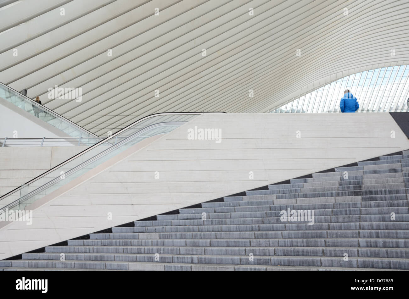 La gare de Liège-Guillemins conçue par l'architecte Santiago Calatrava à Liège Belgique Banque D'Images