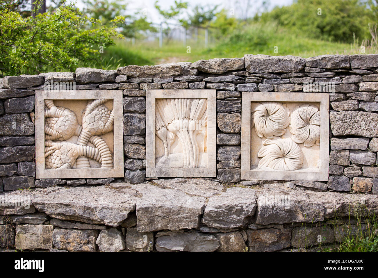 Combustibles fossiles crinoïdes sculptures de Nadia Bowley à Salthill Quarry réserve naturelle en Clitheroe, Lancashire, Royaume-Uni. Banque D'Images