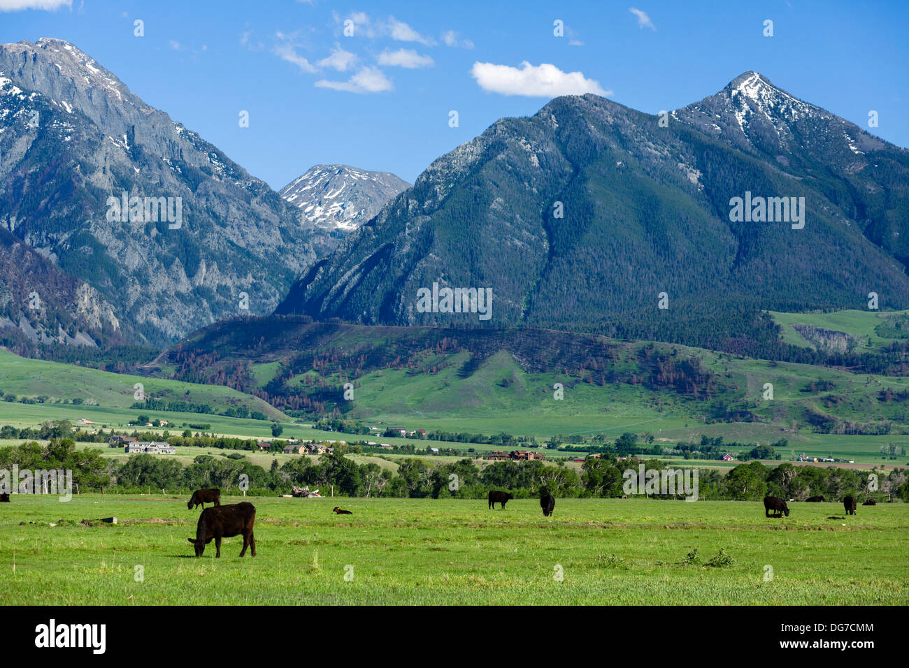 Ranch de bétail au sud de Livingstone, Montana, USA Banque D'Images