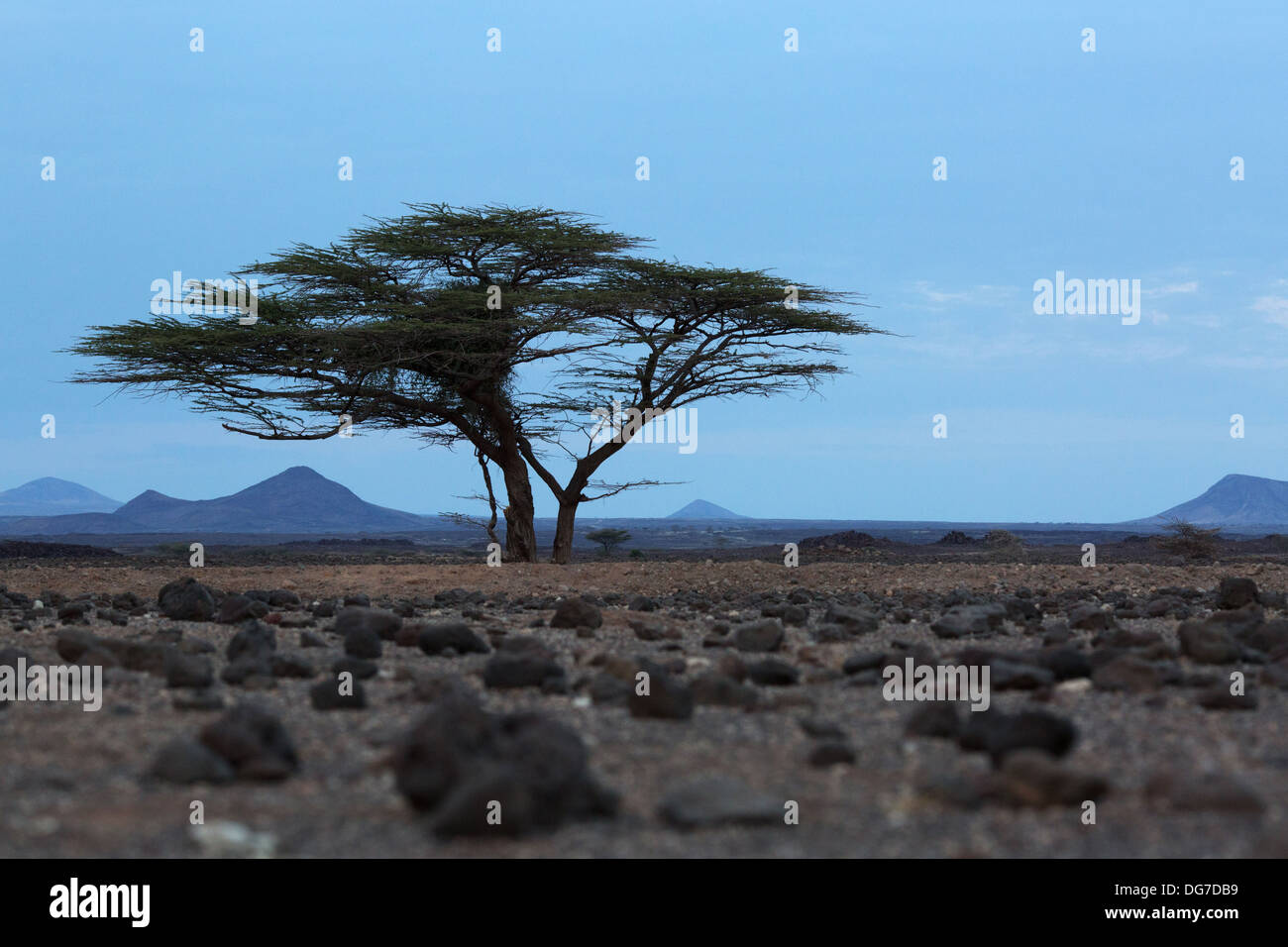 Un paysage lunaire près de Kalacha, au Kenya, au bord de la désert de Chalbi Banque D'Images