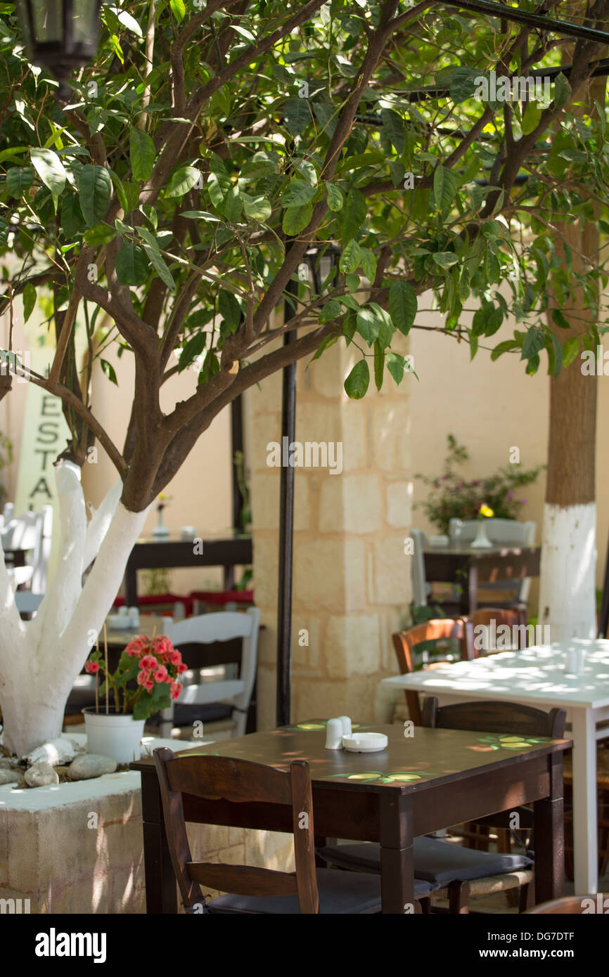 Peint blanc partielle d'olivier et terrasse d'un restaurant traditionnel en Crète, Grèce, 2013. Banque D'Images