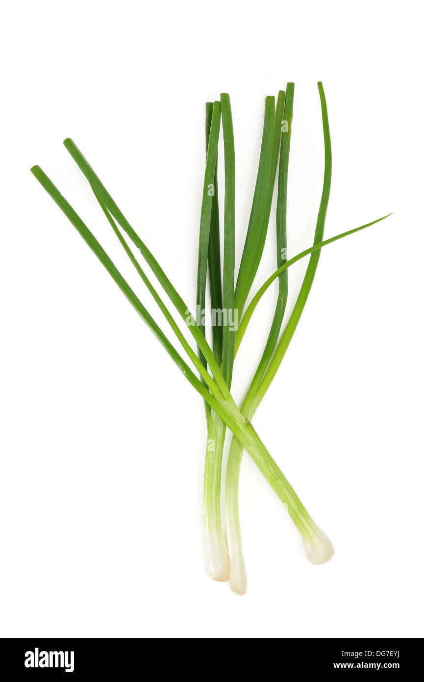 Oignons verts frais Banque D'Images