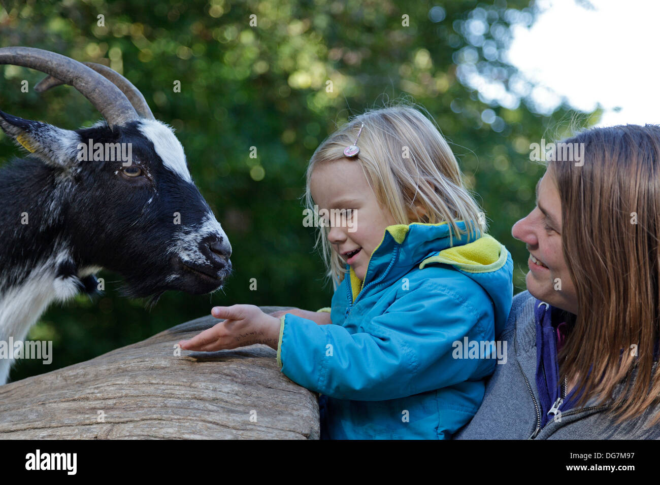 L'alimentation d'une petite fille, sa mère chèvre holding sa Banque D'Images