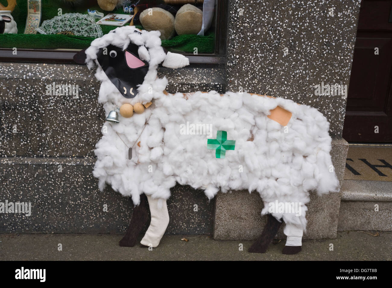En dehors des moutons au cours de pharmacie Mouton Llandovery Festival, Llandovery, Carmarthenshire, au sud-ouest du pays de Galles, Royaume-Uni Banque D'Images