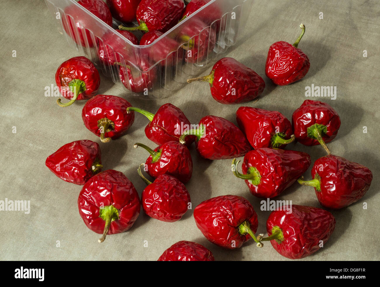 Le habanero piment rouge flétries Banque D'Images