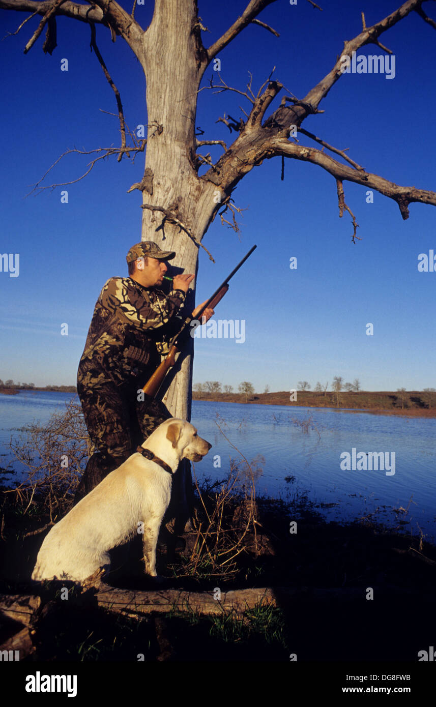 Un chasseur de canard canards appelant avec son chien de chasse Labrador Retriever jaune dans un marais lac près de Austin au Texas Banque D'Images