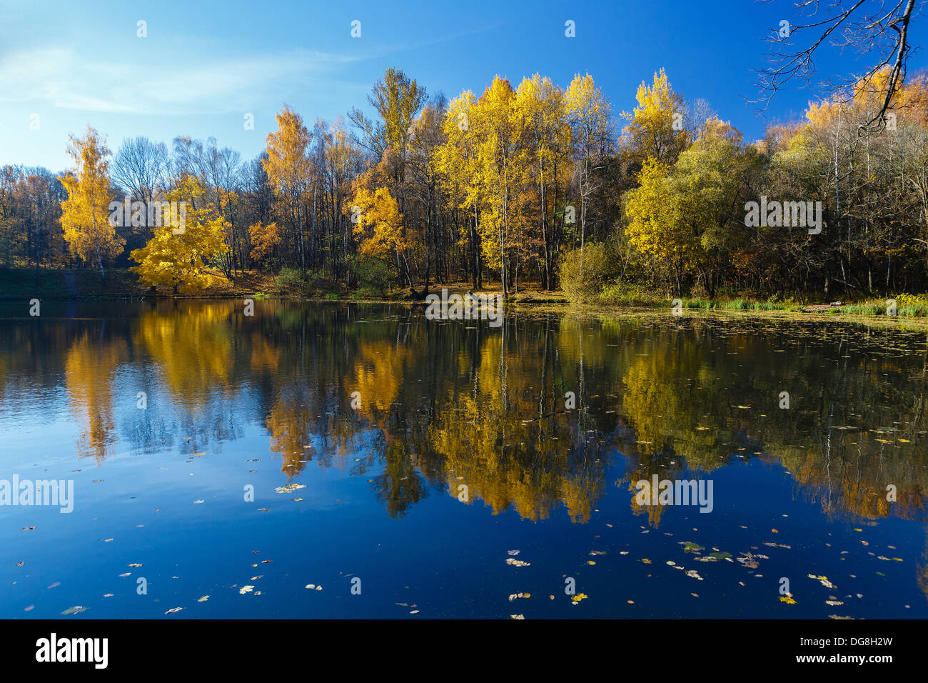 Reflet de paysage d'automne dans l'eau du lac Banque D'Images