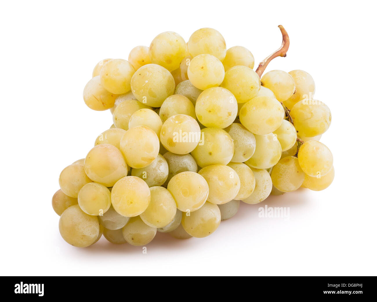 Raisin de muscat Banque de photographies et d’images à haute résolution ...