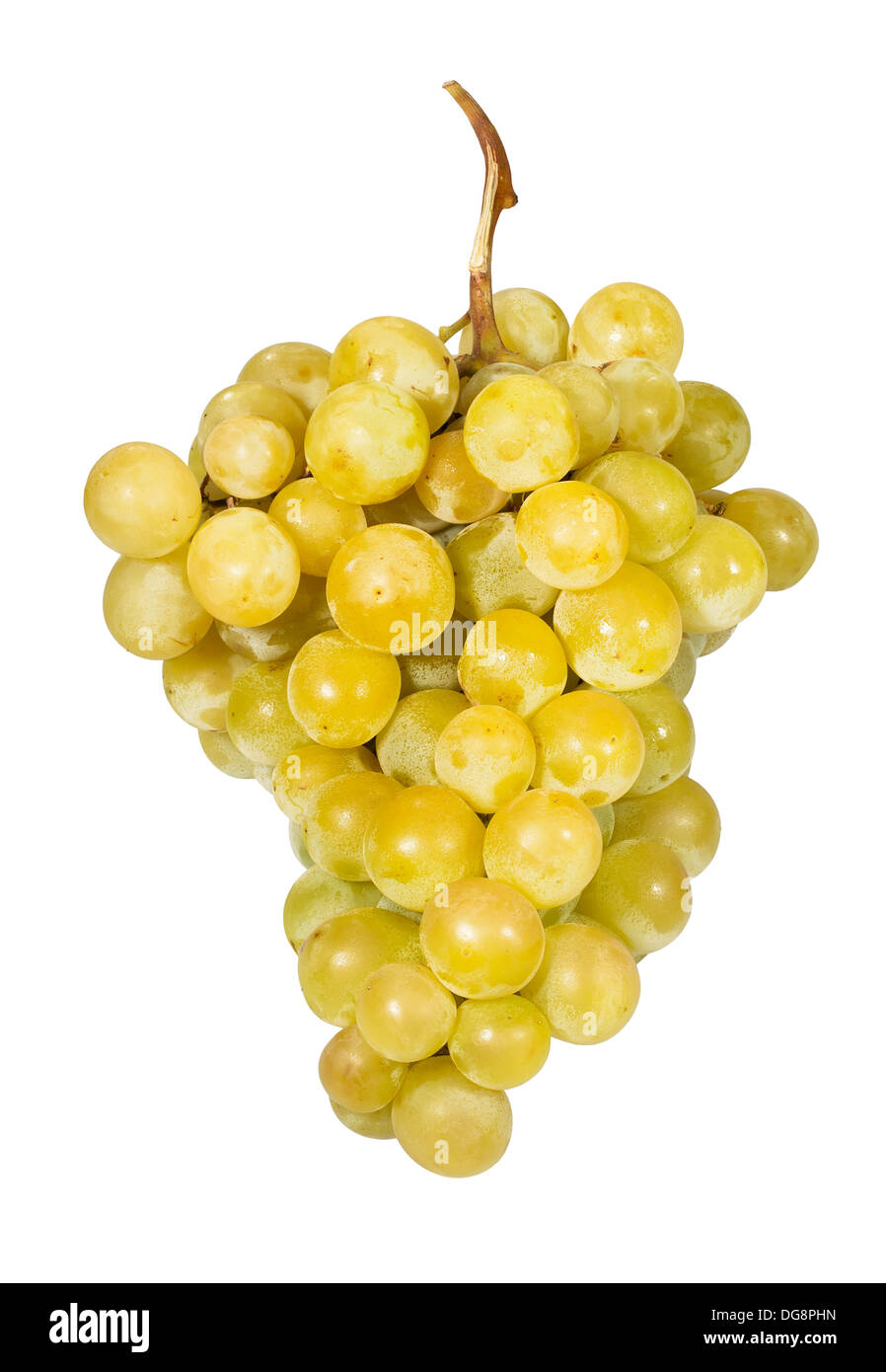 Raisin muscat sur fond blanc Banque D'Images