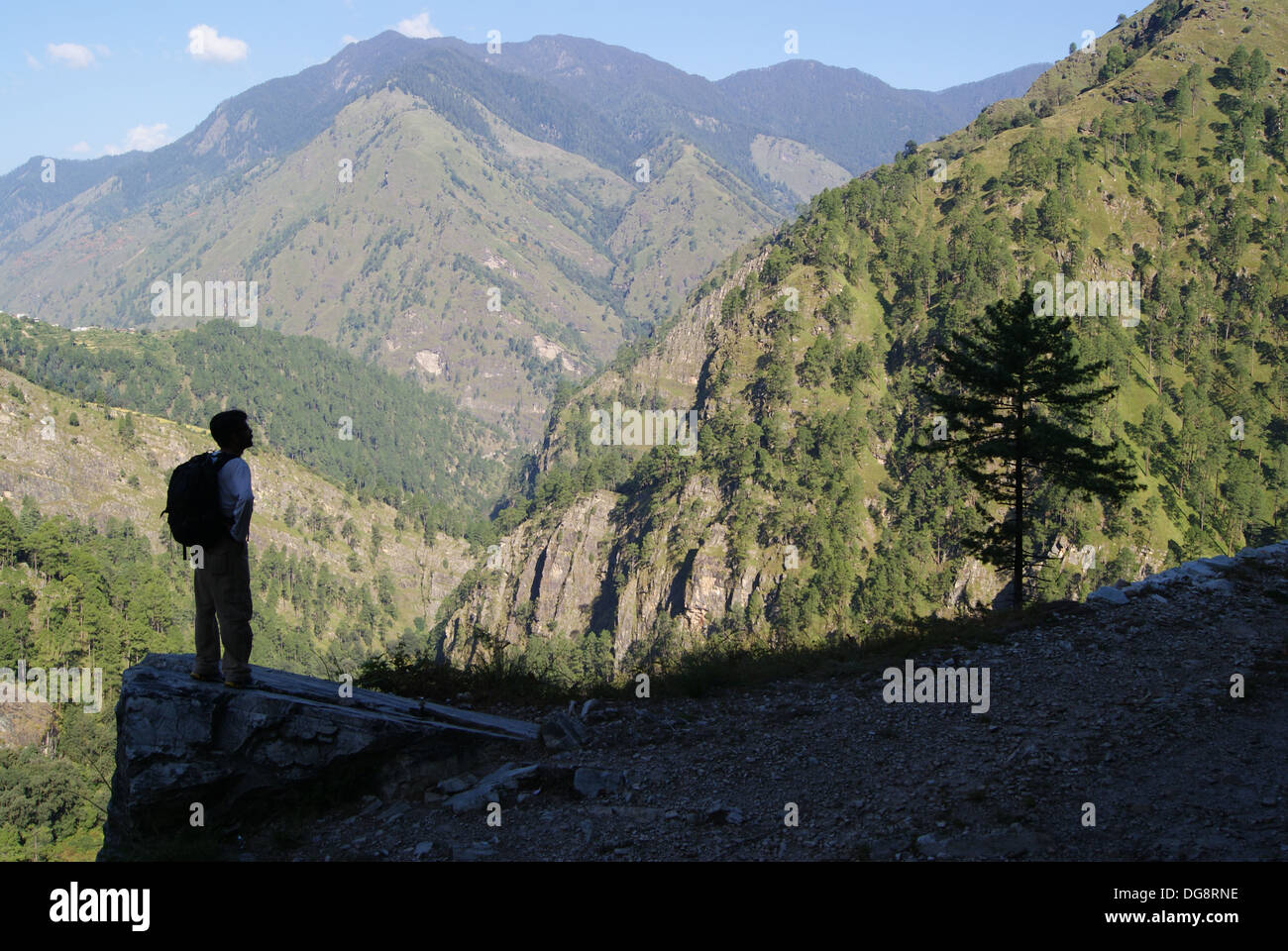 Vue sur la vallée près de Sankri, sur le Har Ki Doon Trail, Uttarakhand, Inde Banque D'Images