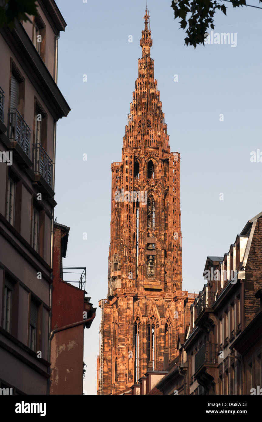 Elk213-1212v France, Alsace, Strasbourg, Cathédrale Notre Dame de Strasbourg, le clocher Banque D'Images