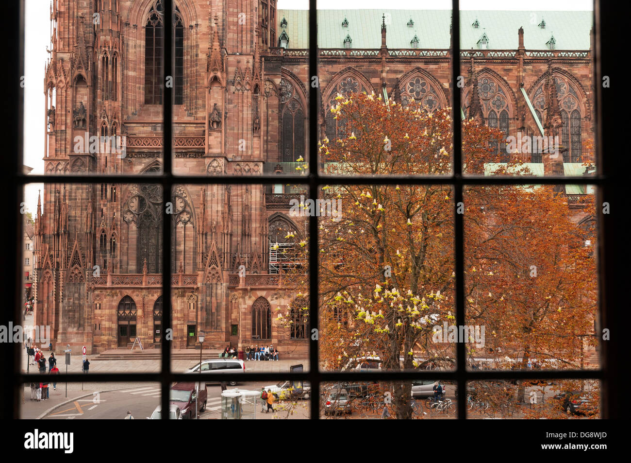 Elk213-1214 France, Alsace, Strasbourg, Cathédrale Notre Dame de Strasbourg Banque D'Images