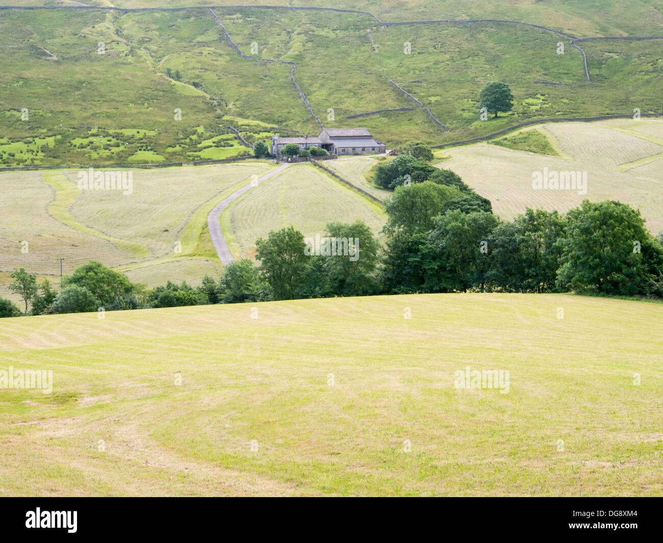 Une colline au-dessus de la ferme Dentdale Yorkshire Dales National Park, Cumbria, Royaume-Uni. Banque D'Images