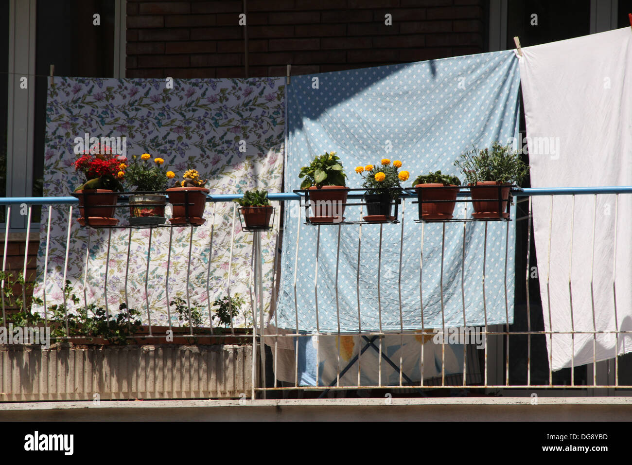 Les pots de fleurs sur les balustrades en télévision à Rome Italie Banque D'Images