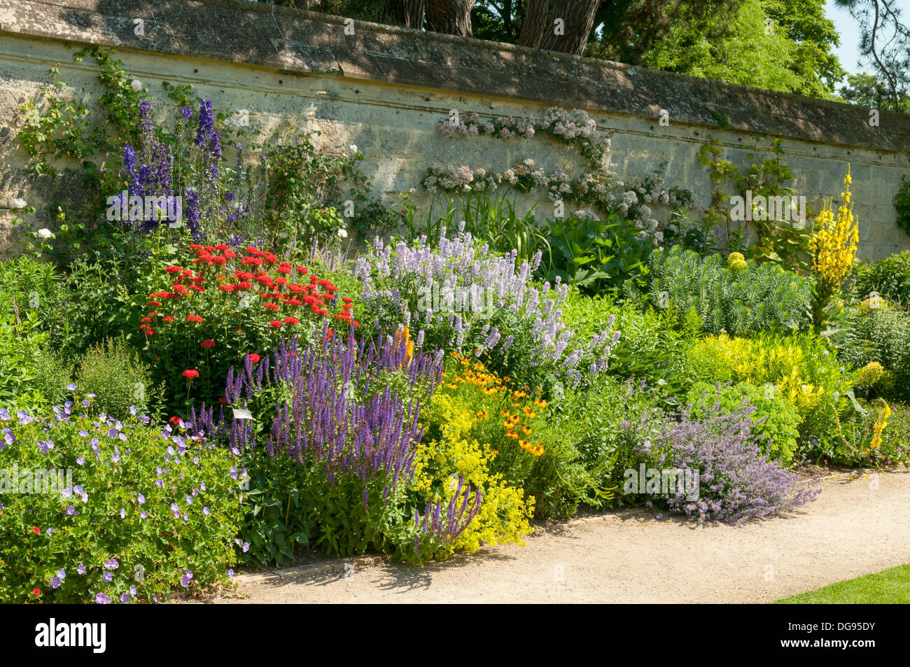 Jardins botaniques, Oxford, Oxfordshire, Angleterre Banque D'Images