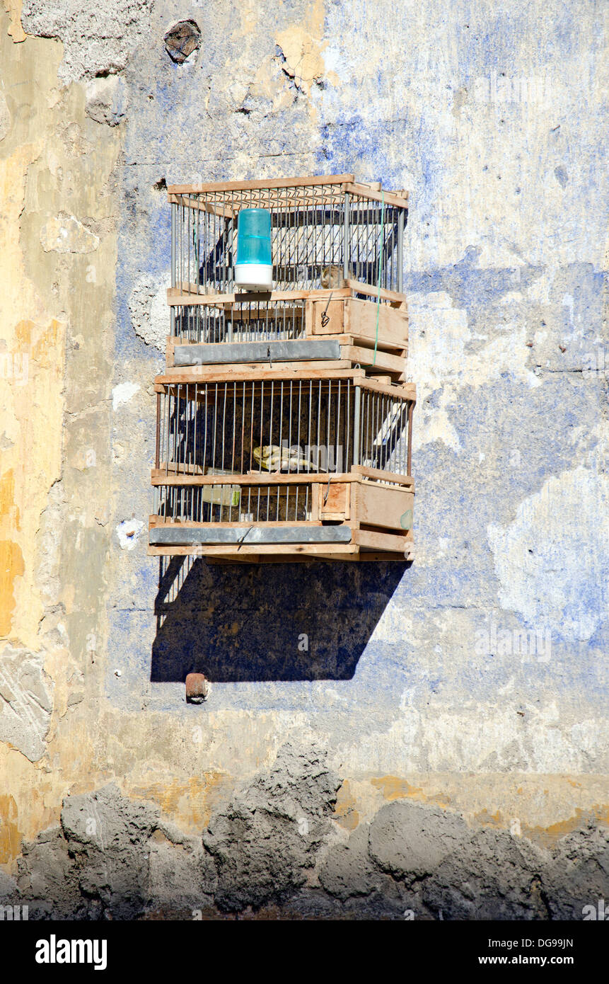 Les cages à oiseaux dans un marché à Palerme Banque D'Images