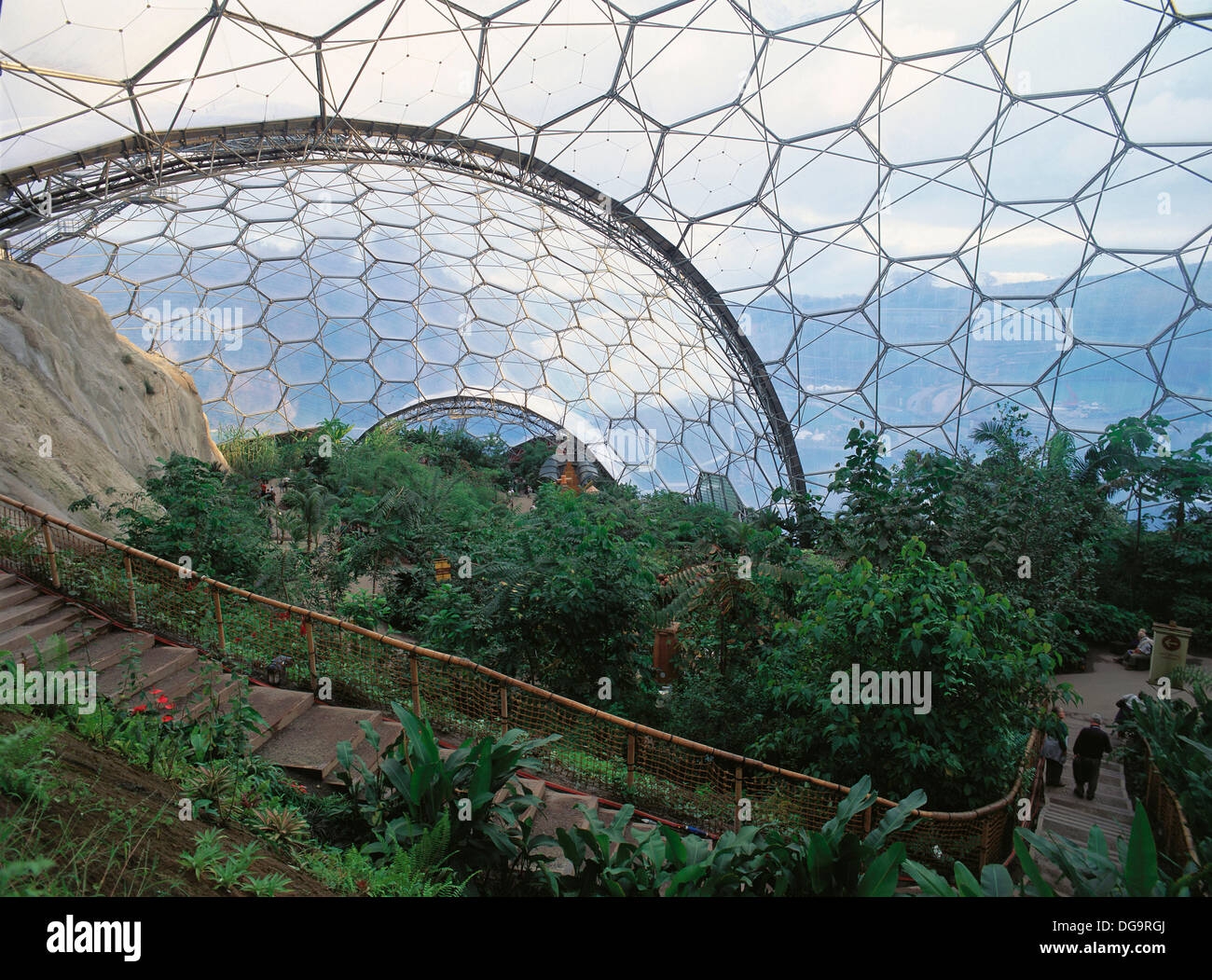 Biome des zones tropicales humides. Eden Project. Cornwall. L'Angleterre Banque D'Images