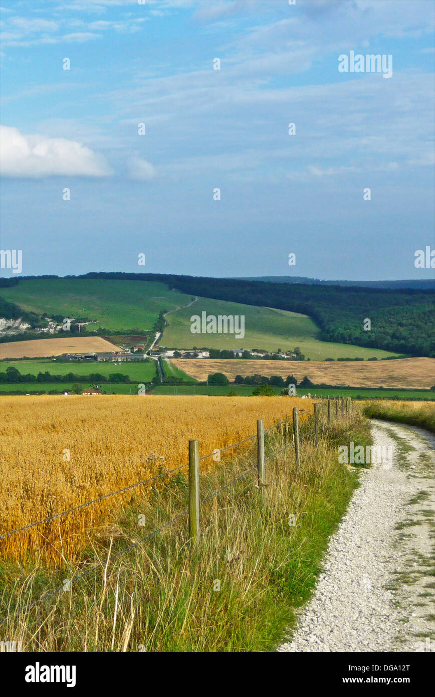 Vue sur le South Downs Way Southdowns près d'Armer au Sussex Banque D'Images