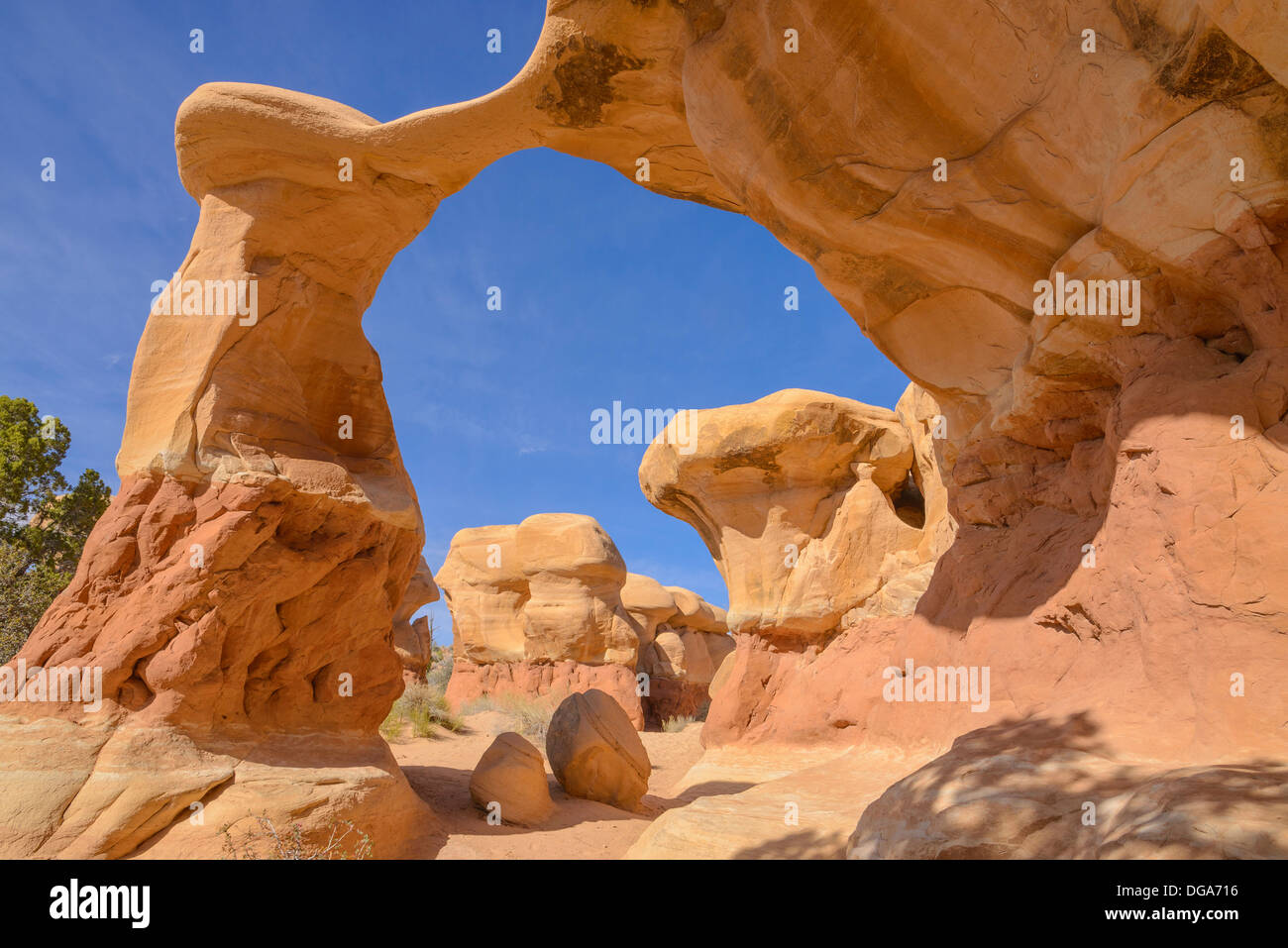 Metate Arch, Devils Garden, Grand Staircase Escalante National Monument, Utah, USA Banque D'Images