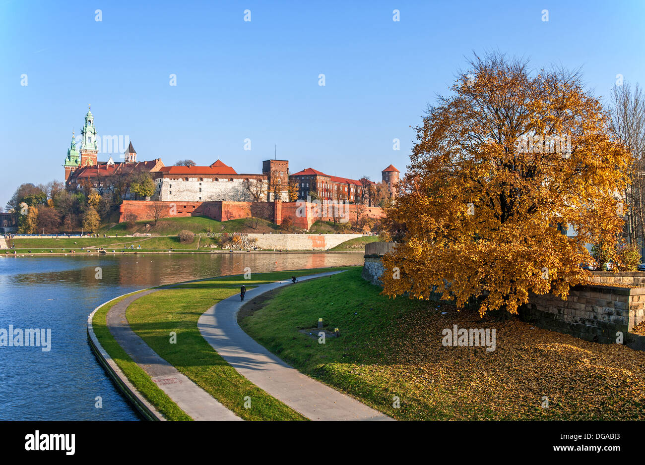 Château Royal de Wawel, Vistule bend, promenades et un arbre d'automne au coucher du soleil à Cracovie, Pologne Banque D'Images