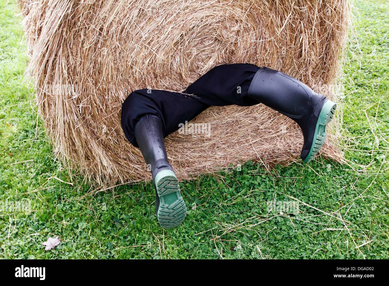Un homme enroulé dans une botte de foin avec ses jambes hanging out Photo  Stock - Alamy