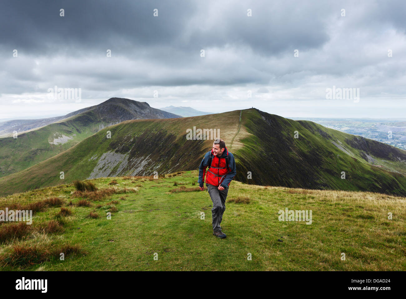 Sur Ddysgl Hillwalker Bostn y, une partie de la crête de Nantlle à pied. Le Parc National de Snowdonia. Gwynedd. Le Pays de Galles. UK. Banque D'Images