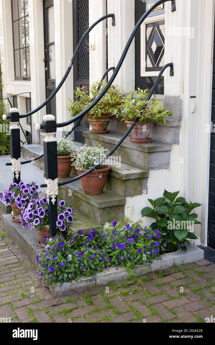 Escalier avec des fleurs à Amsterdam en été Banque D'Images