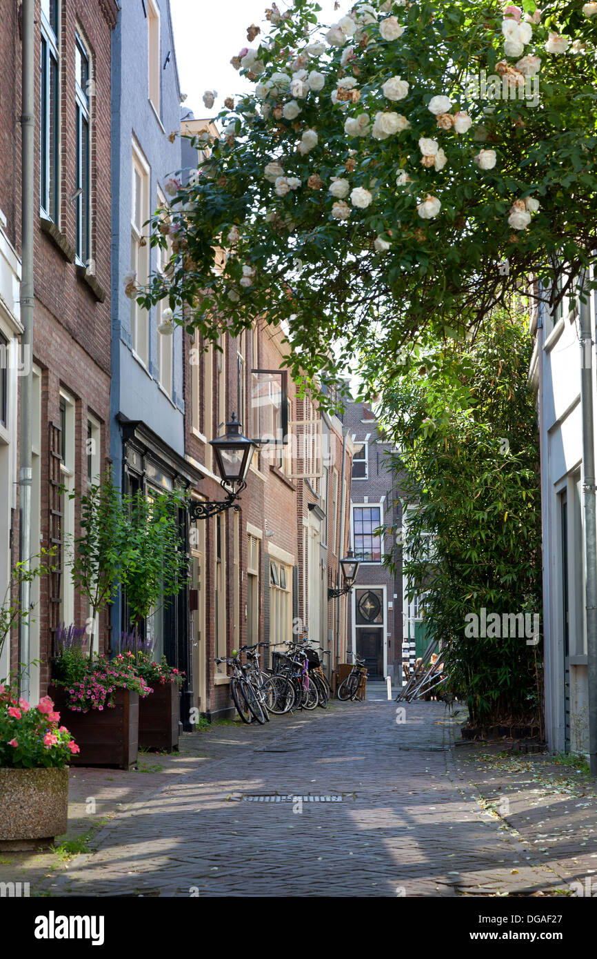 Ruelle de la ville de Leiden, Pays-Bas Banque D'Images