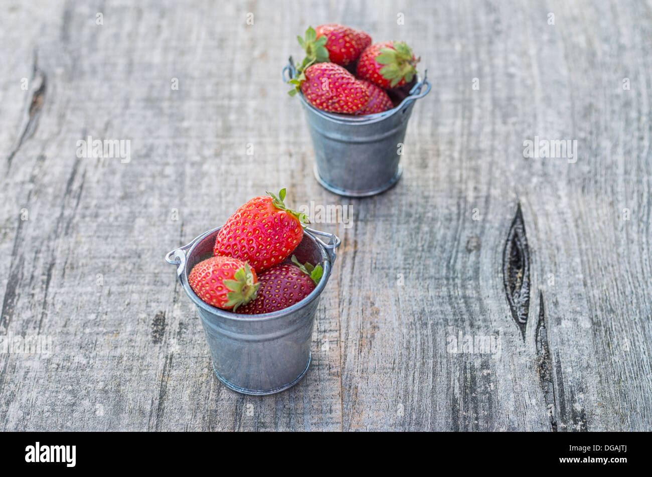 Les fraises dans des pots avec des couleurs étonnantes Banque D'Images