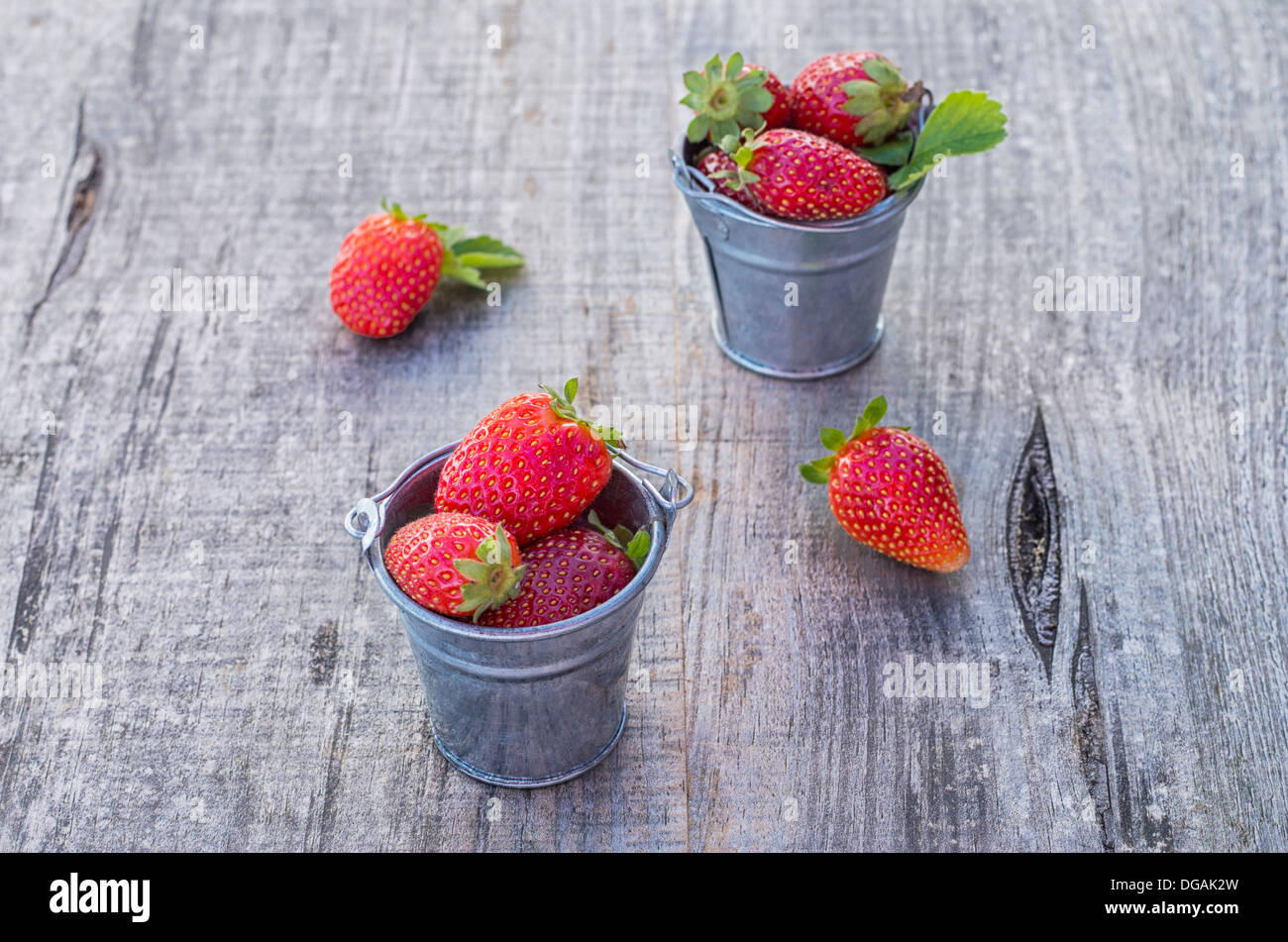 Les fraises dans des pots avec des couleurs étonnantes Banque D'Images