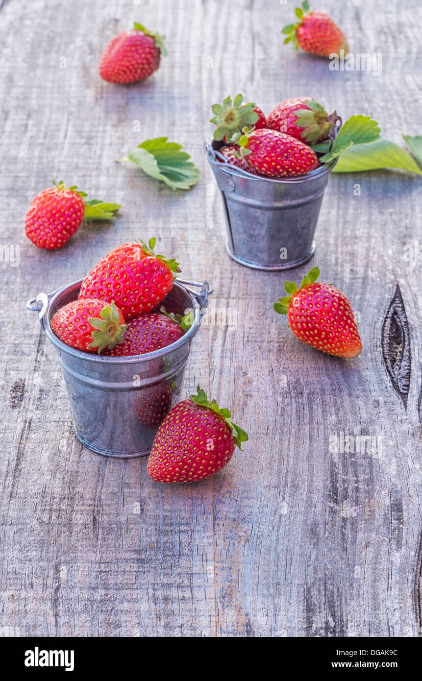 Les fraises dans des pots avec des couleurs étonnantes Banque D'Images