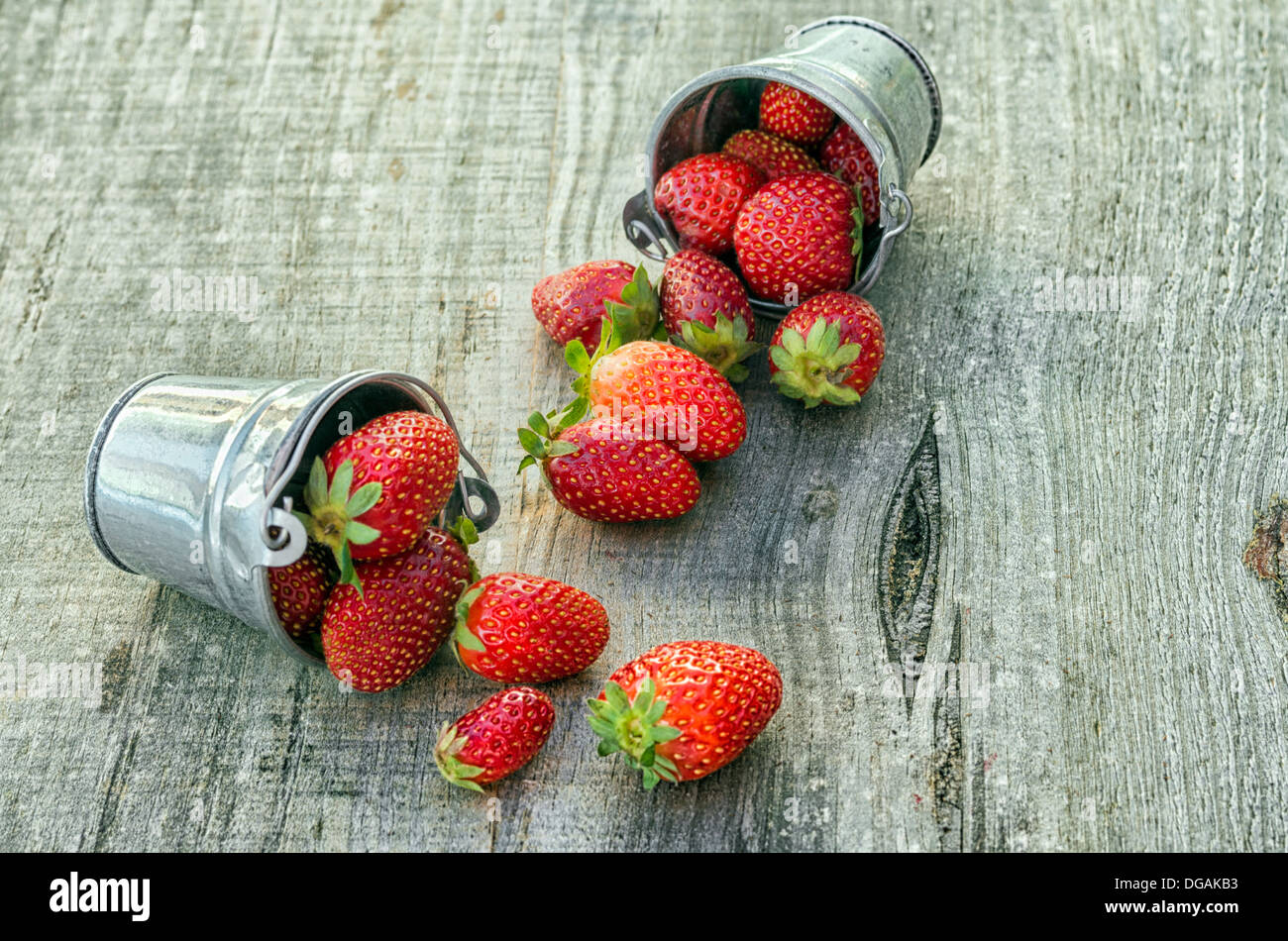 Les fraises dans des pots avec des couleurs étonnantes Banque D'Images