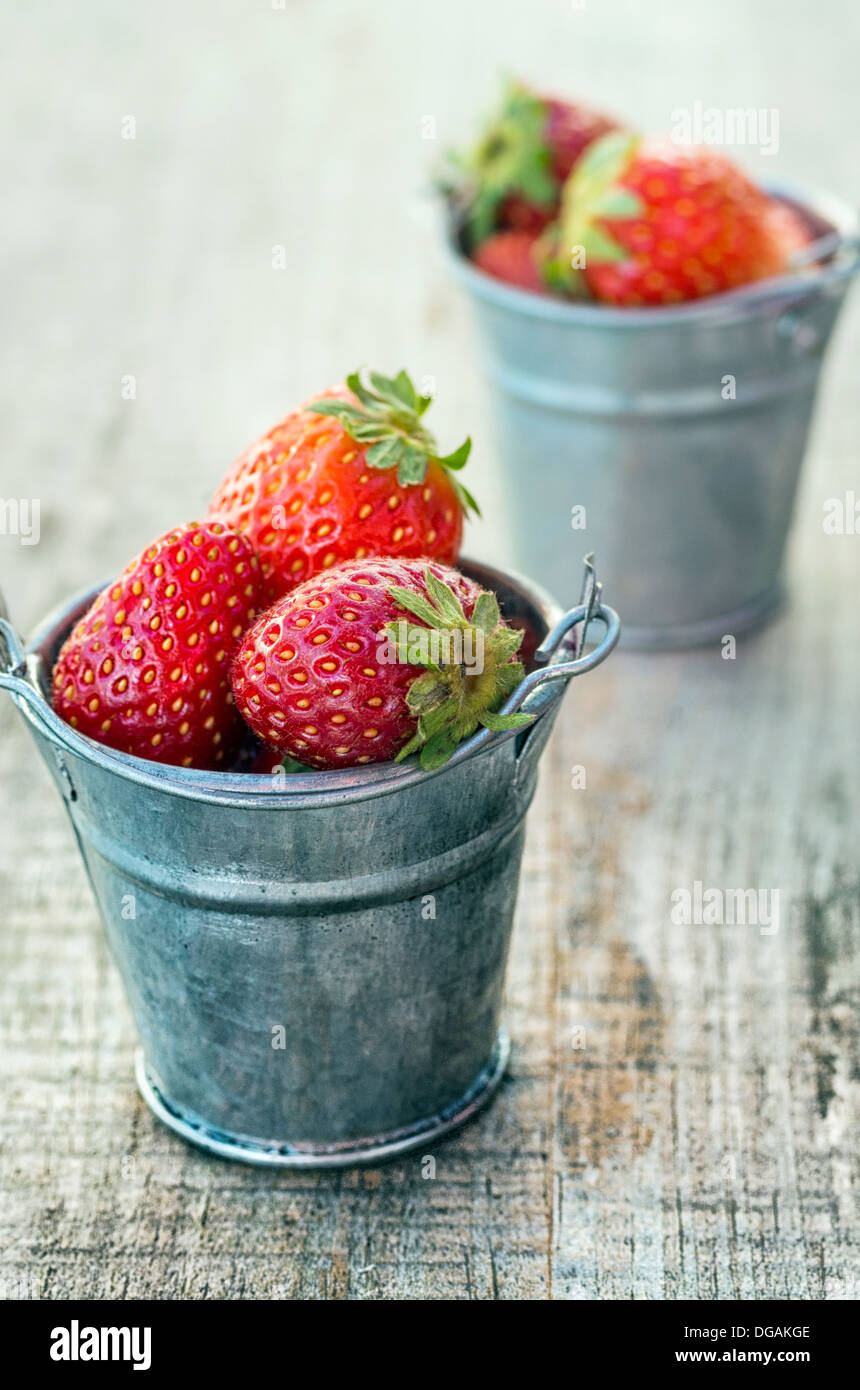 Les fraises dans des pots avec des couleurs étonnantes Banque D'Images