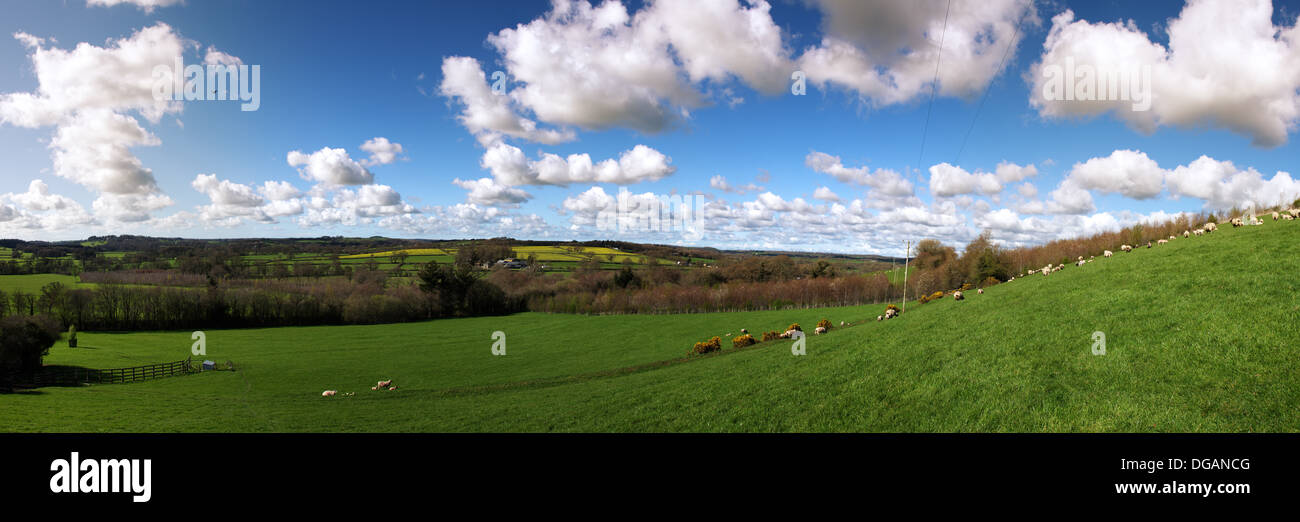 Panorama cousus de terres agricoles de la Tamar Valley sur la frontière/Cornwall Devon Banque D'Images