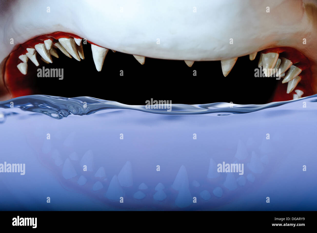 Mâchoires de requin - Adobe RVB Banque D'Images