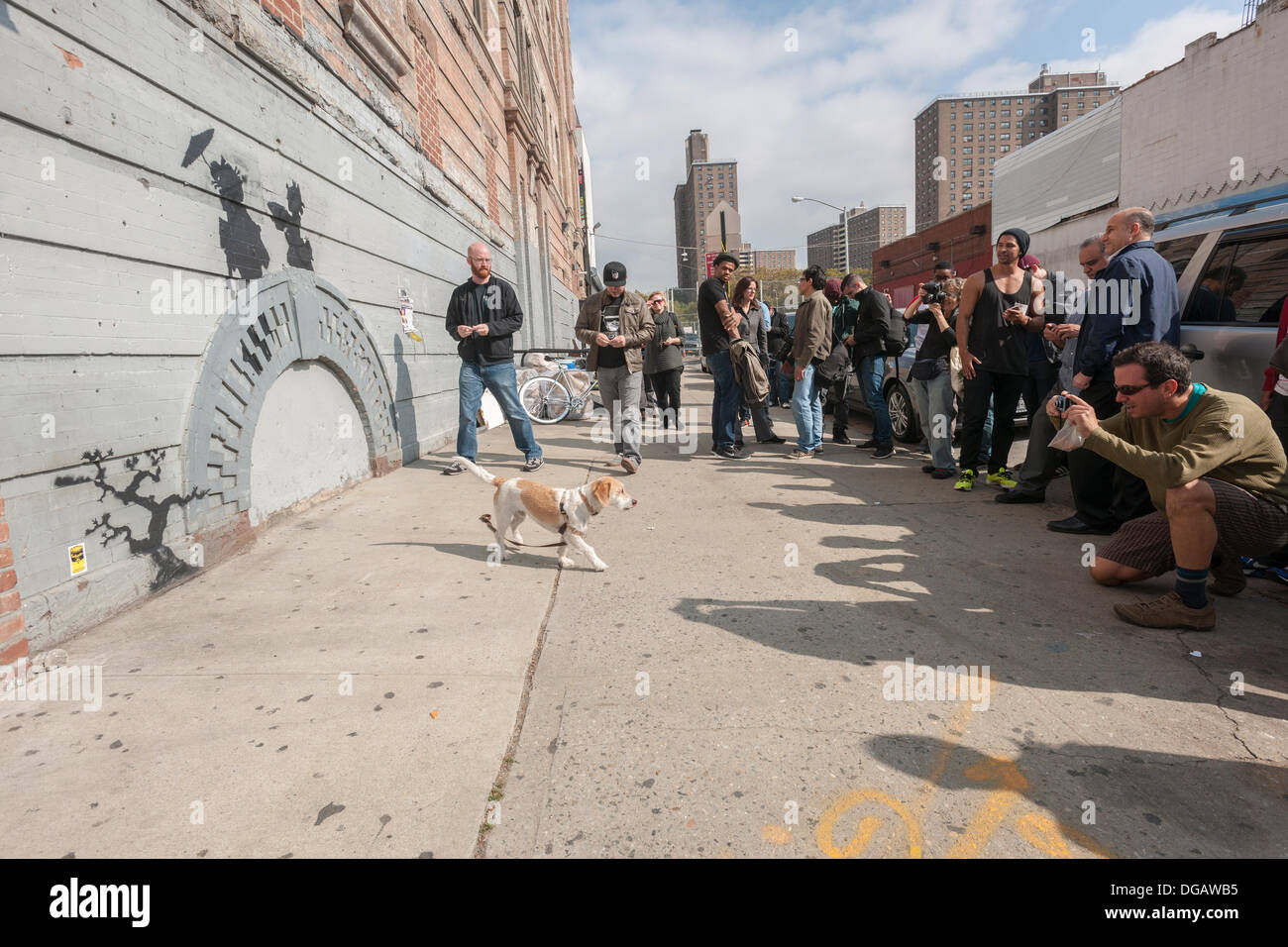 New York, USA. 17 octobre 2013. Les amateurs de street art affluent au quartier de Williamsburg Brooklyn à New York le jeudi 17 octobre, 2013 pour voir la dix-septième tranche de l'art graffiti de Banksy, l'insaisissable artiste de rue, c'est la création d'œuvres autour de la ville chaque jour pendant le mois d'octobre. Crédit : Richard B. Levine/Alamy Live News) Banque D'Images