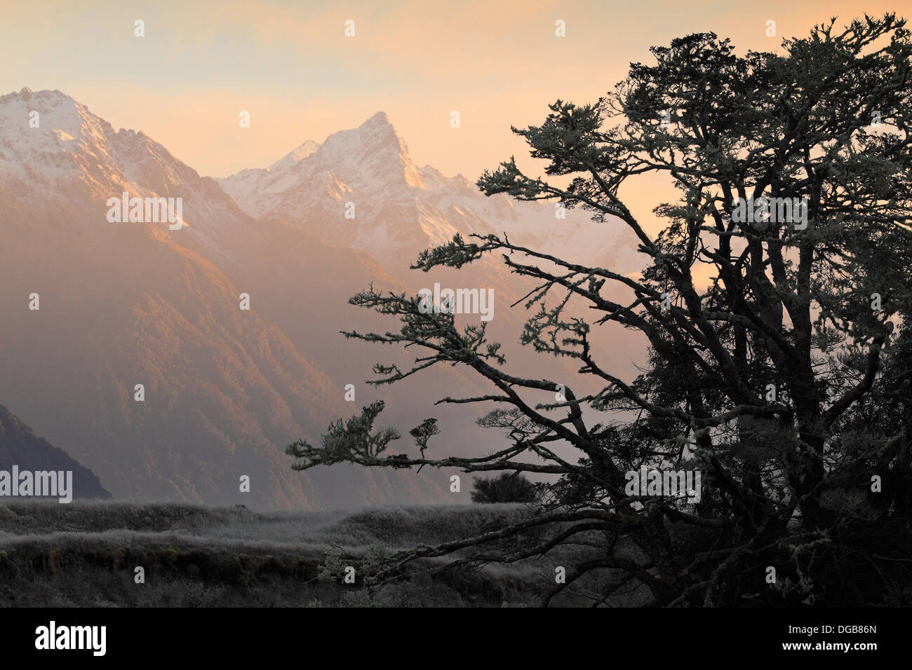 Lever du soleil d'hiver à Earl Montagnes, Fiordland, Nouvelle-Zélande. Banque D'Images