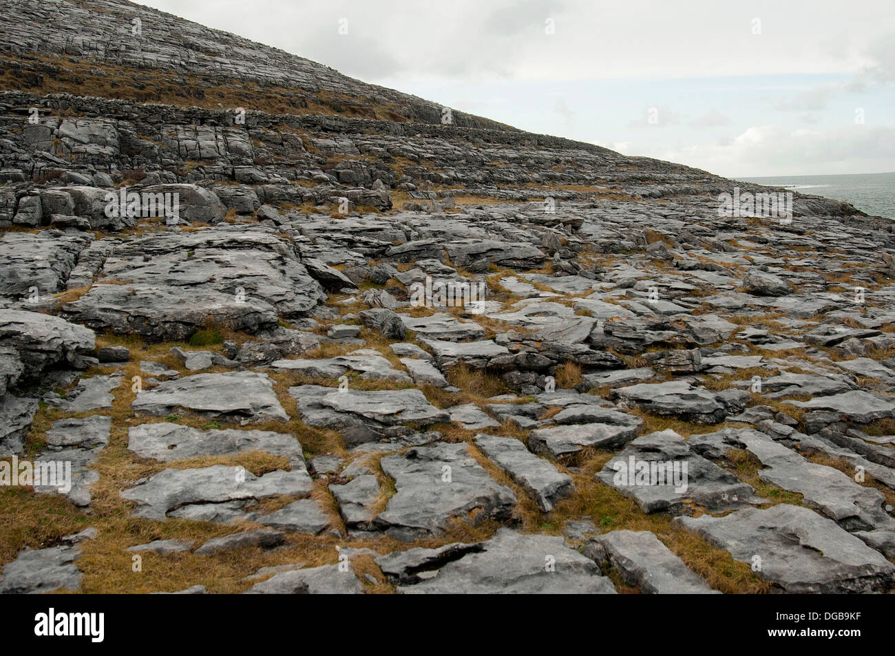 Le Burren est un paysage karstique ou région dans le nord-ouest de l'alvar du comté de Clare, en Irlande. Banque D'Images