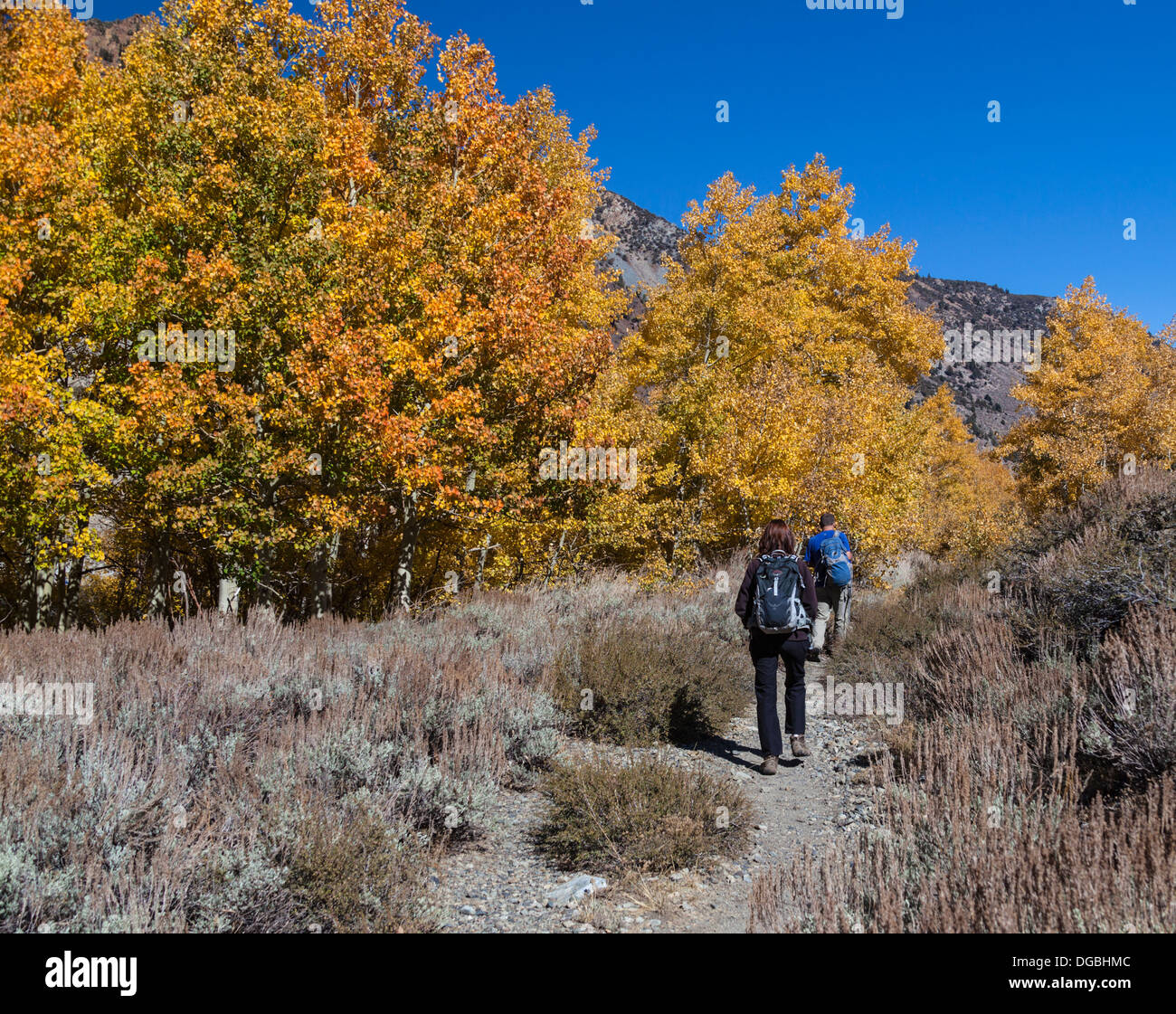 Les randonneurs passent par la couleur en automne dans Lundy Canyon Banque D'Images