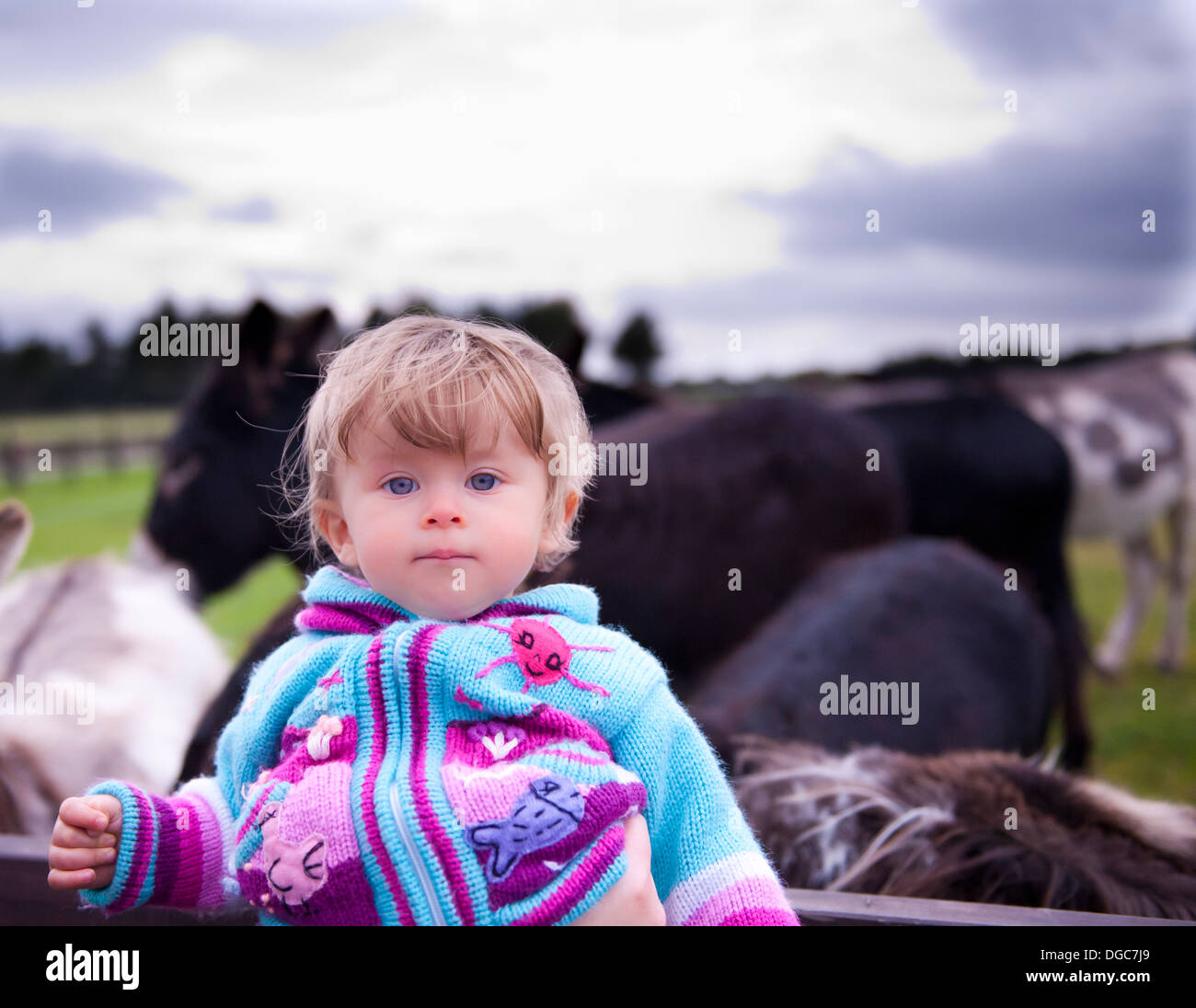 Toddler looking at camera avec des ânes Banque D'Images