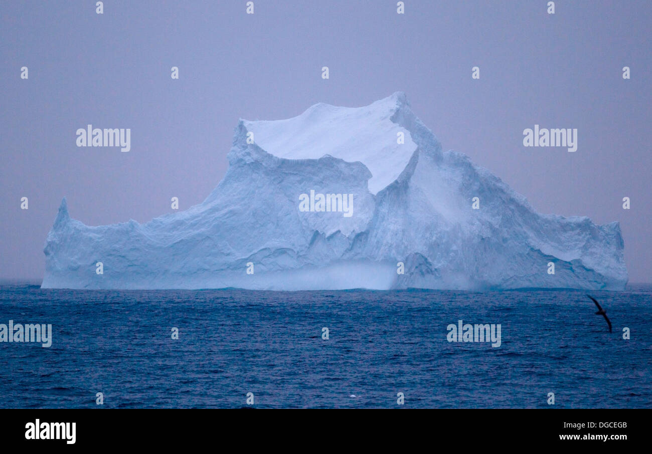 Parmi les icebergs banquise dans l'océan du sud, 180 miles au nord de l'Antarctique, l'Antarctique Banque D'Images