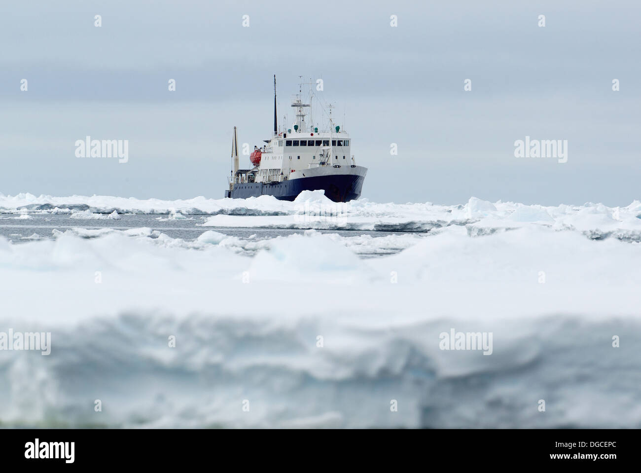 Navire de recherche aventure Spirit of Enderby, banquise dans l'océan du sud, 180 miles au nord de l'Antarctique, l'Antarctique Banque D'Images