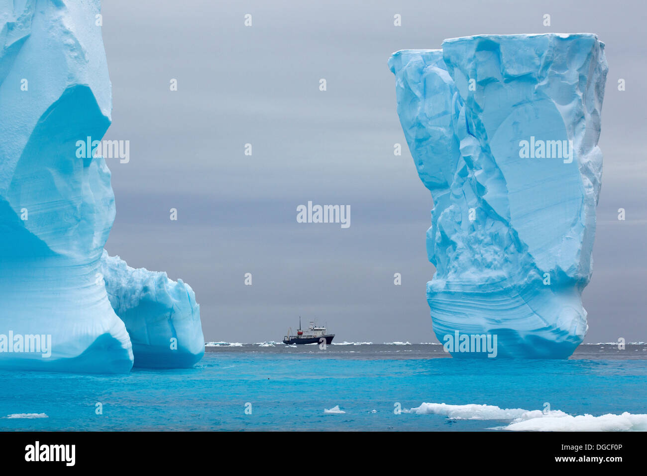Navire de recherche aventure Spirit of Enderby entre ice bergs dans la banquise dans l'océan austral Banque D'Images