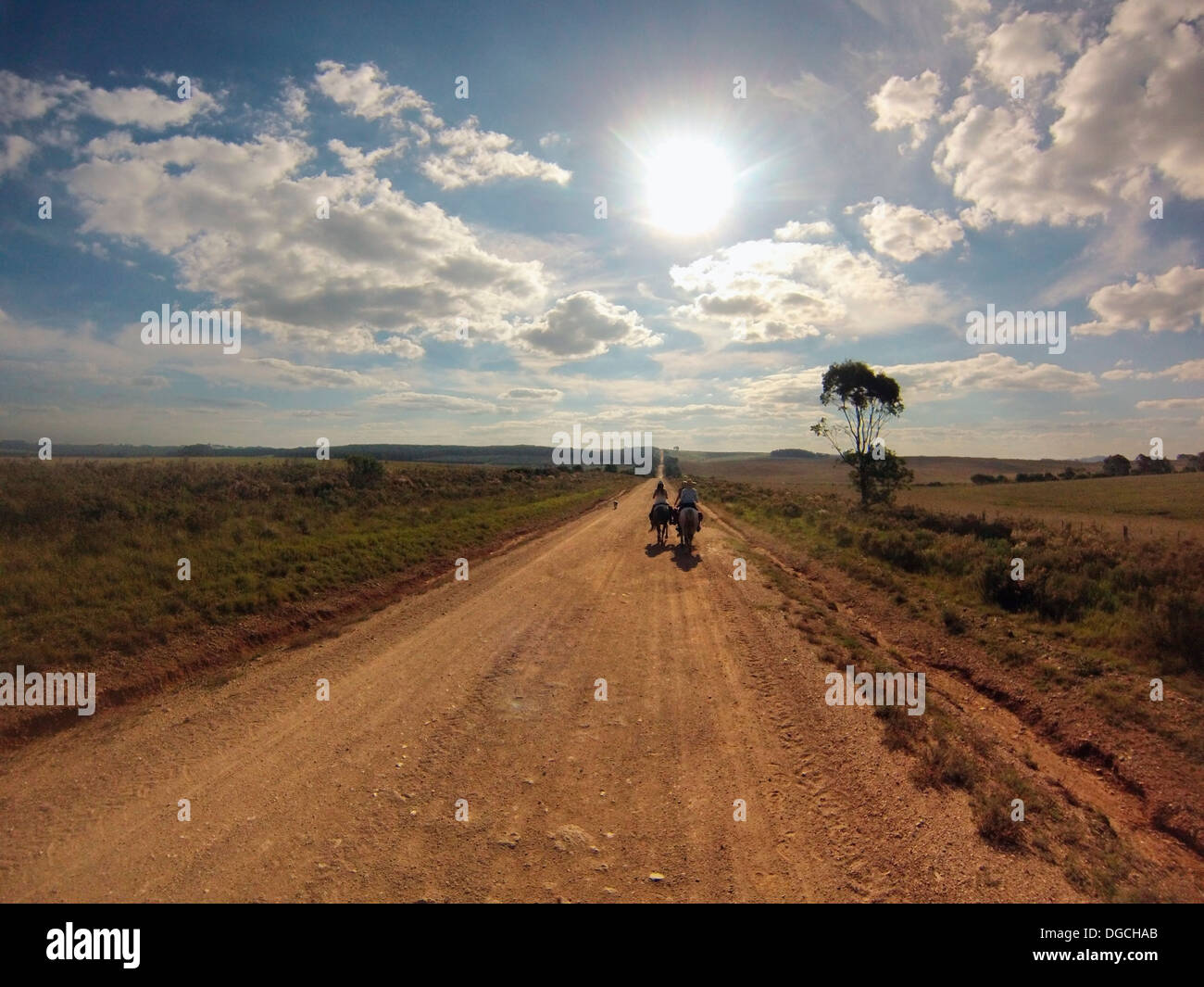 Senior man riding horse sur un chemin de terre, de l'Uruguay Banque D'Images