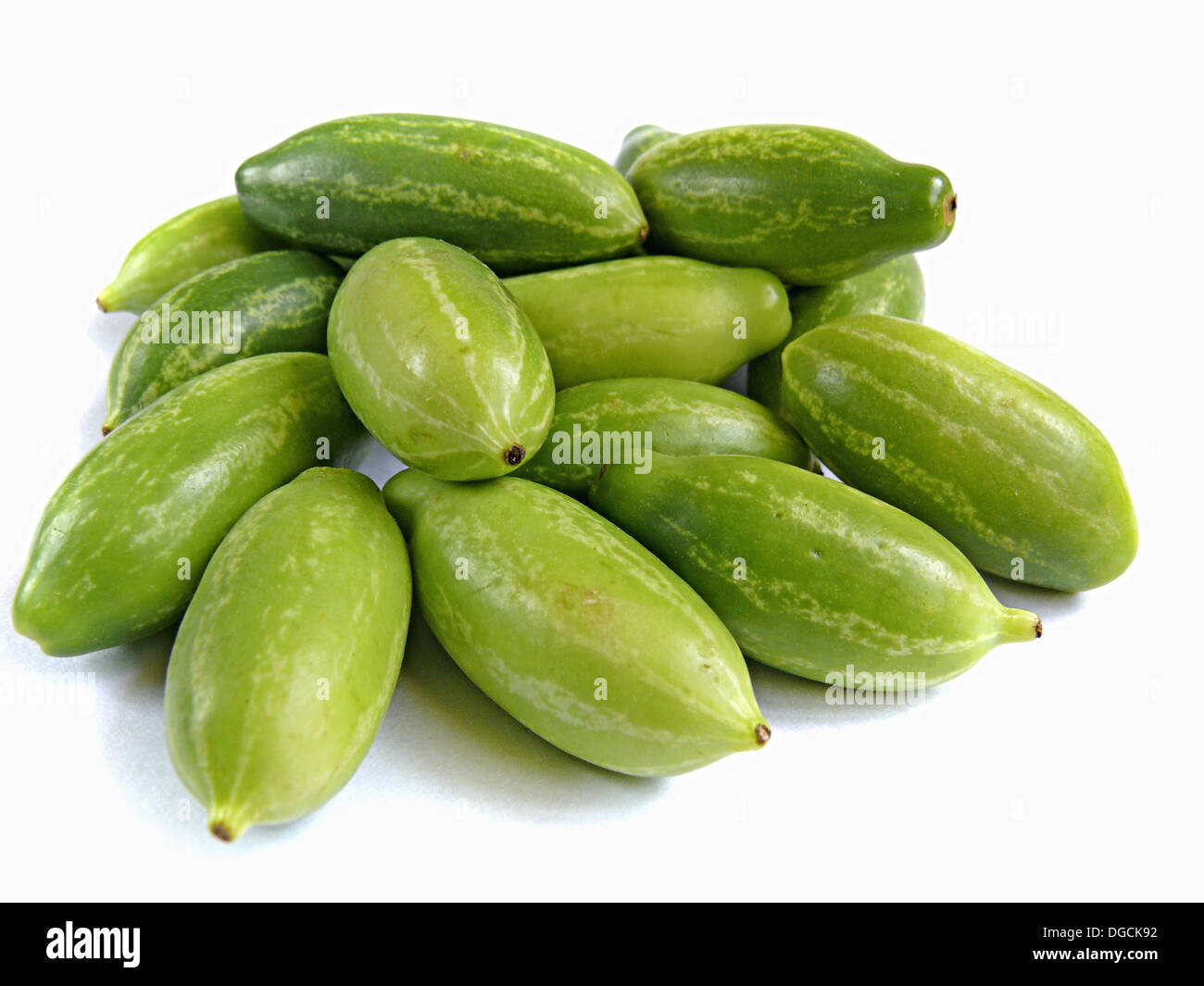 Coccinia grandis Ivy gourd (Cucurbitaceae) Indian Ivy Gourd est un légume  consommé, disponible en Inde par hors du Photo Stock - Alamy