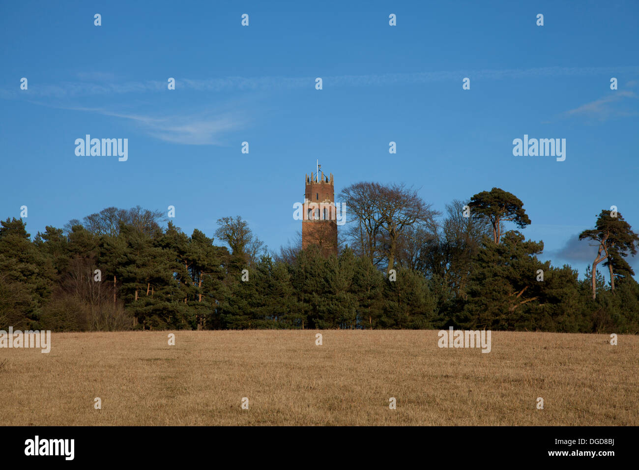 Faringdon Folly par une froide journée d'hiver, clair Banque D'Images