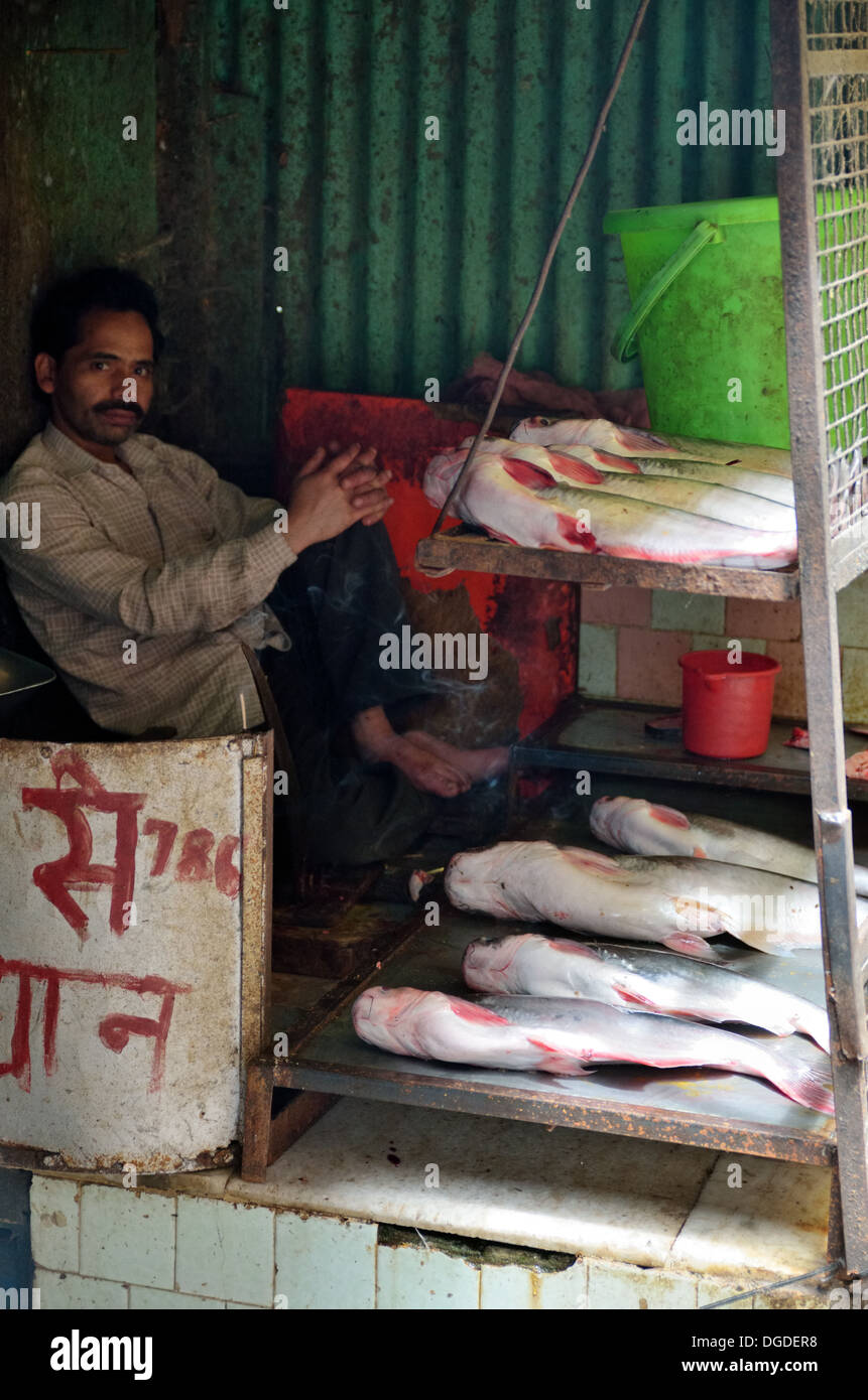 Poissonnier vend du poisson frais dans Almora, India Banque D'Images